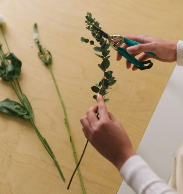 Florist's choice!