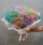 Rainbow Gypsophila