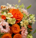 Sunshine: Seasonal Flowers