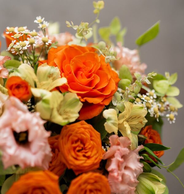 Sunshine: Seasonal Flowers