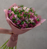 The Friendship: Alstroemerias