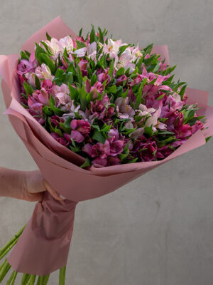 The Friendship: Alstroemerias