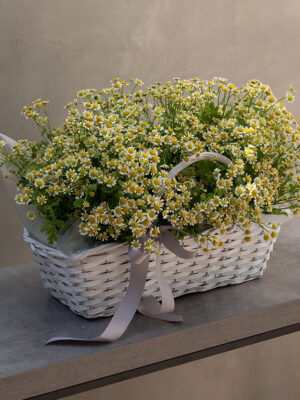 CHAMO_BASKET_2.jpg