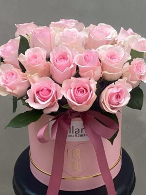 Hello Girl: Roses