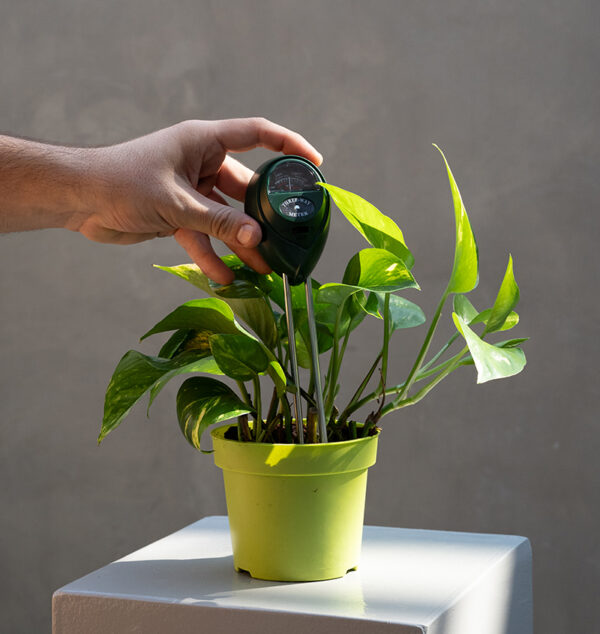 3-in-1-soil-moisture-meter