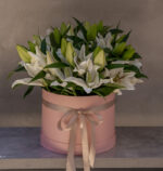 Lily Treasure