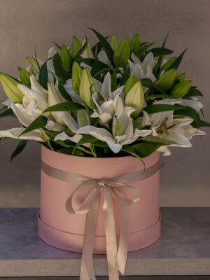 Lily Treasure