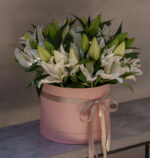 Lily Treasure