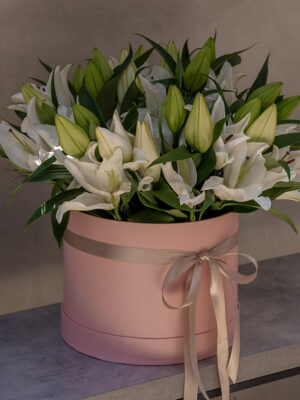 LILY_BOX_1-2-1.jpg