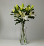 Elegance: Oriental Lilies
