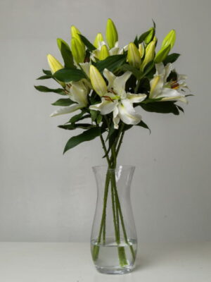 Elegance: Oriental Lilies