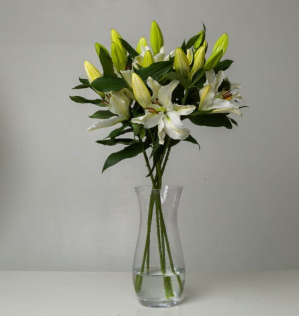 Elegance: Oriental Lilies