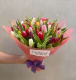 Rainbow Flutter: Colorful Tulips