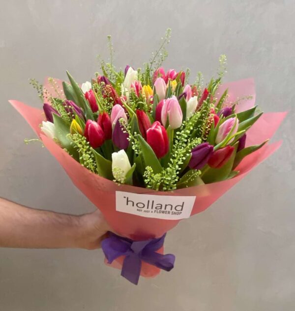Rainbow Flutter: Colorful Tulips