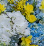 In The Garden: Hydrangea & Seasonal Flowers