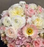 Profound Admiration: Seasonal Flowers